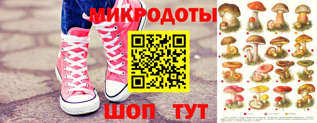 цена   Вход с VPN  Ачинск  Галлюциногенные грибы GOLDEN TEACHER 